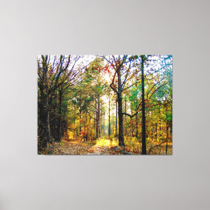 Lienzo Sendero forestal iluminado por el sol en otoño
