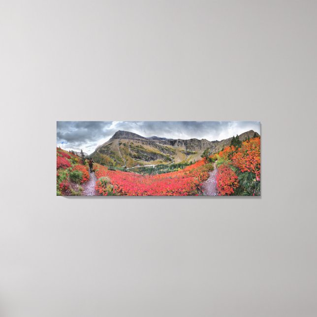 Lienzo Sendero Swiftcurry Pass - Parque Nacional Glacier (Anverso)