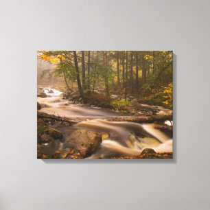 Lienzo Senderos Fluyentes Appalachian Trail Vermont