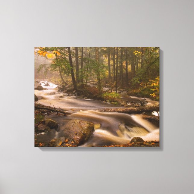 Lienzo Senderos Fluyentes Appalachian Trail | Vermont (Anverso)