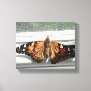Lienzo Señora pintada Butterfly Wrapped Canvas