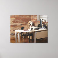 Sentado de perro en el escritorio
