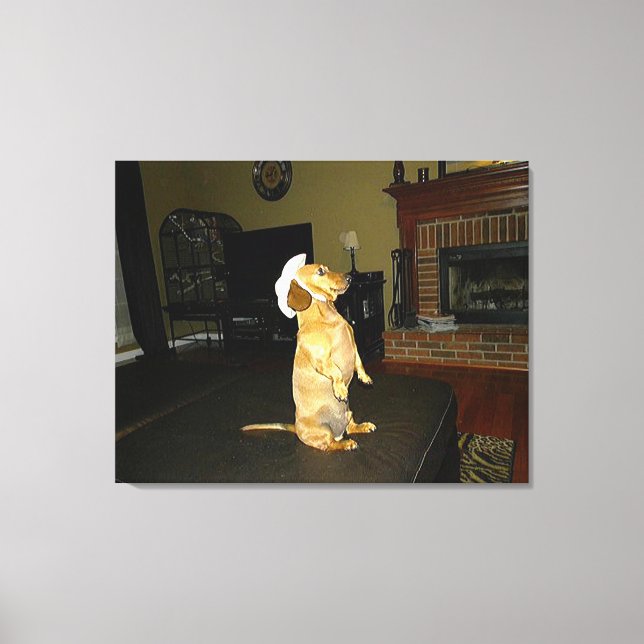 Lienzo Sentando Bonito o viendo TV Dachshund Canvas (Anverso)