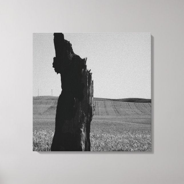 Lienzo Sentino (Anverso)