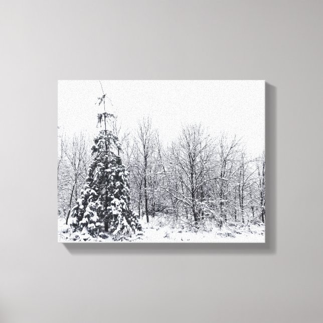 Lienzo separación con certeza (Anverso)