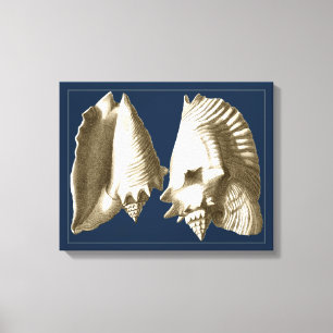 Lienzo Sepia Conch Seasheles