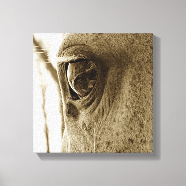 Lienzo Sepia imagen de primer plano de un ojo de caballo  (Anverso)