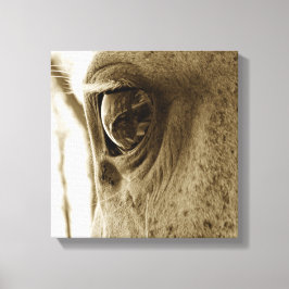 Lienzo Sepia imagen de primer plano de un ojo de caballo