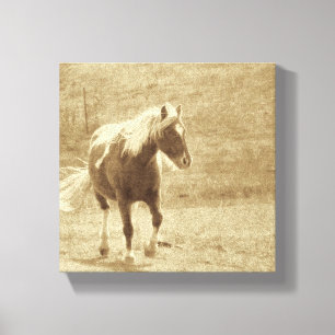Lienzo Sepia Pinto Pony