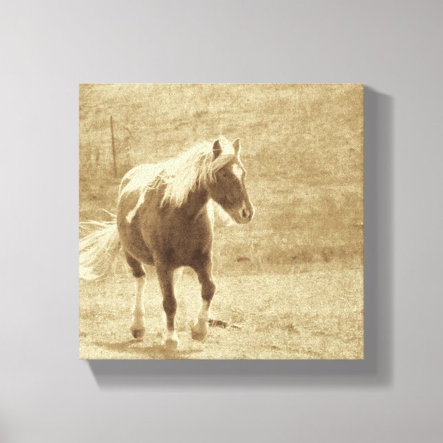 Lienzo Sepia Pinto Pony (Anverso)