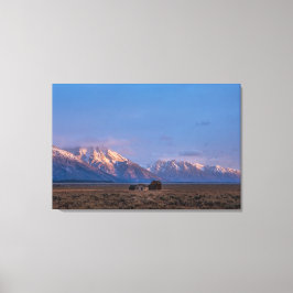 Lienzo Serena Pradera Abierta del Gran Teton
