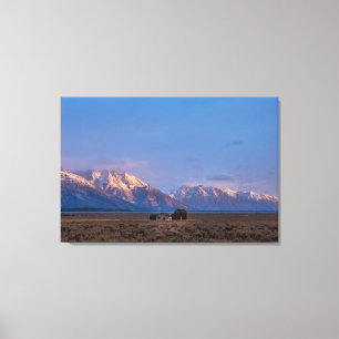 Lienzo Serena Pradera Abierta del Gran Teton