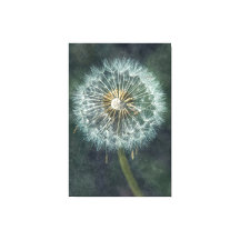 Serene Dandelion Canvas Art - Inscripción de la na