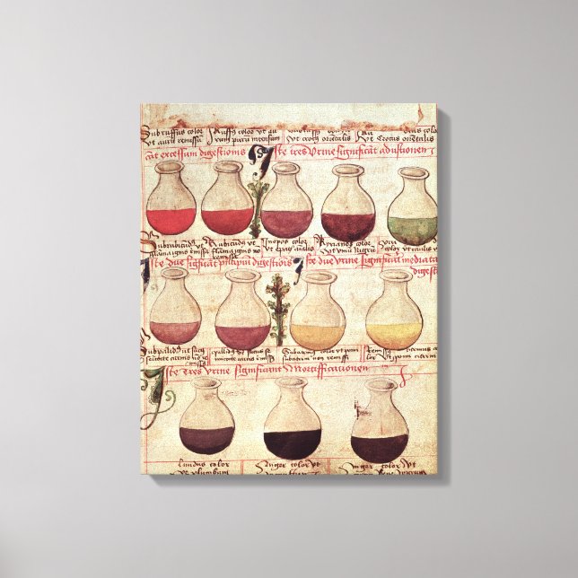 Lienzo Serie de banderas para el análisis de orina (Anverso)