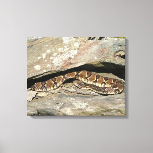 Lienzo Serpiente de cascabel en el Parque Nacional Shenan