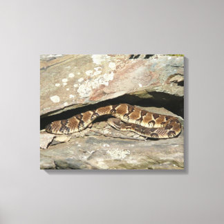 Lienzo Serpiente de cascabel en el Parque Nacional Shenan