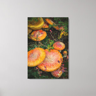 Lienzo Setas de amanita muscaria en el lago Mowich
