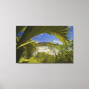 Lienzo Seychelles, isla Curieuse, bahía de Laraie