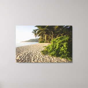 Lienzo Seychelles, isla de Mahe, Anse Marie-Louise