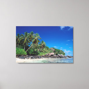 Lienzo Seychelles, Isla de Mahe, Playa Anse Royale. 2