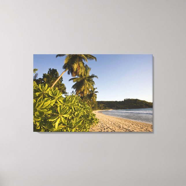 Lienzo Seychelles, isla de Mahe, playa de Anse Takamaka, (Anverso)