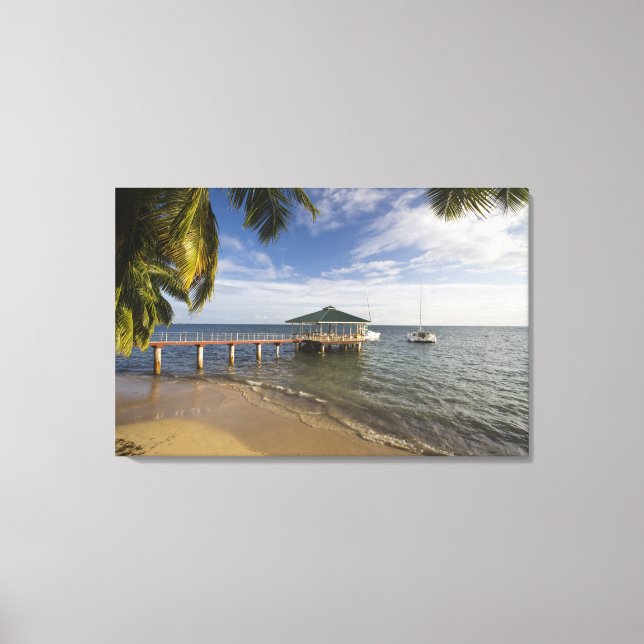 Lienzo Seychelles, Isla de Praslin, Anse Bois de Rose, (Anverso)