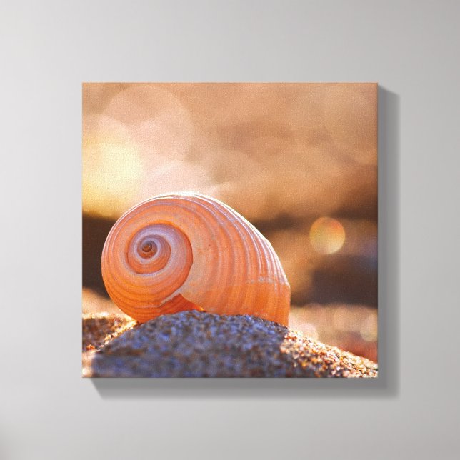 Lienzo Shell Bokeh |Grecia (Anverso)