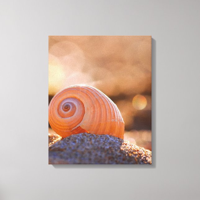 Lienzo Shell Bokeh |Grecia (Anverso)