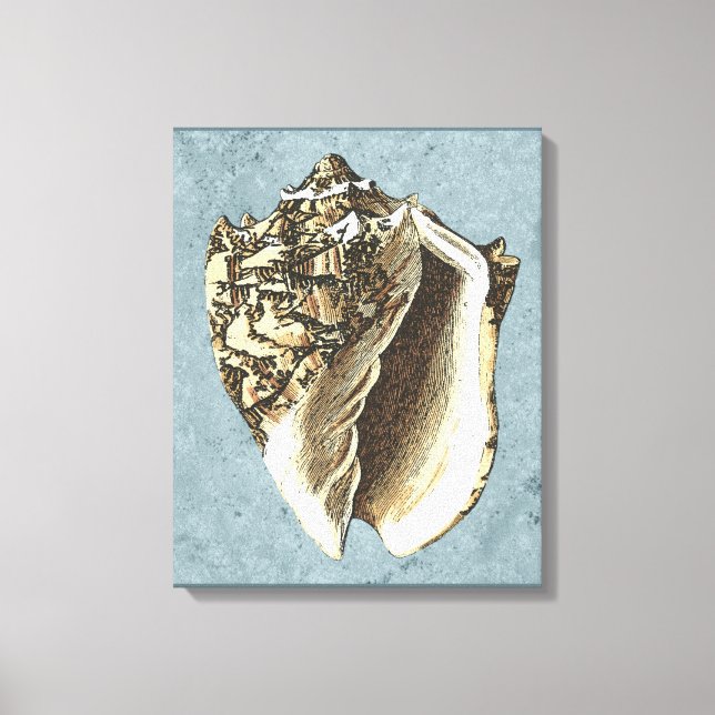 Lienzo Shell de conchas encalladas (Anverso)