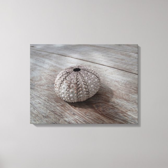 Lienzo Shell En La Parte Superior De Una Mesa De Madera (Anverso)
