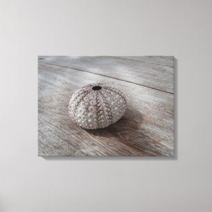 Lienzo Shell encima de una tabla de madera