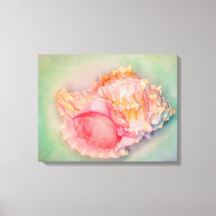 Lienzo Shell saturado