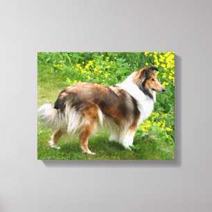 Lienzo Sheltie Shetland Sheepdog Pinting Canvas
