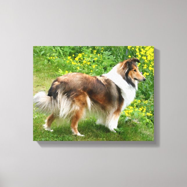 Lienzo Sheltie Shetland Sheepdog Pinting Canvas (Anverso)