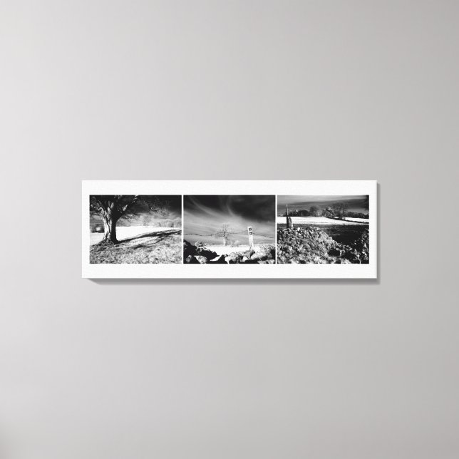 Lienzo Shepton Mallet Triptych (Anverso)