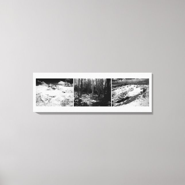 Lienzo Shepton Mallet Triptych (Anverso)