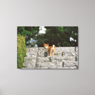 Lienzo Shiba muy pequeño japonés 4