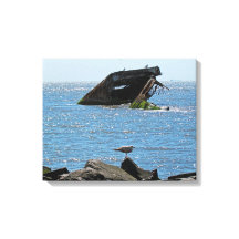 Shipwreck de Cape May
