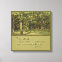 Shishkin de Tree Hugger