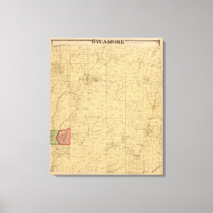 Lienzo Sicómoro, Ohio