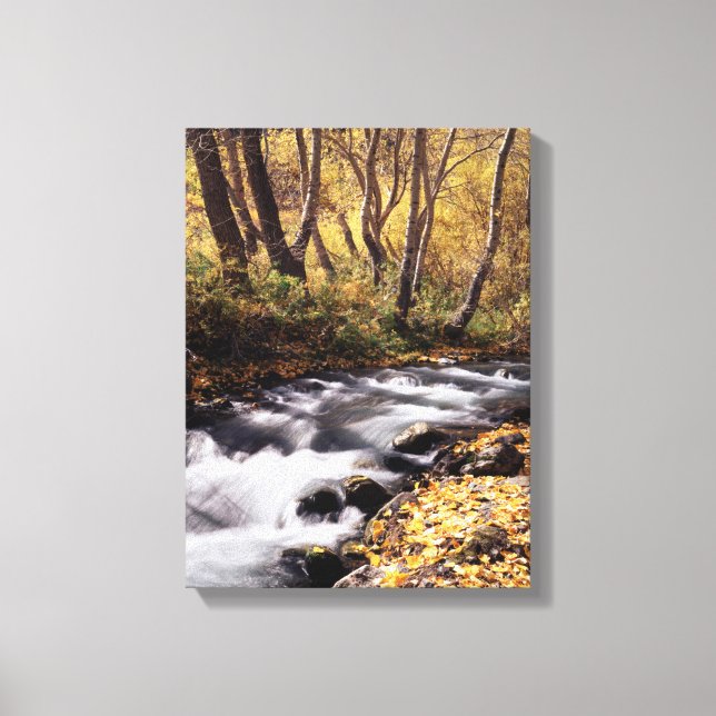 Lienzo Sierra Nevada 12 (Anverso)