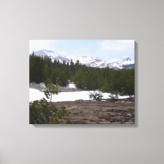 Lienzo Sierra Nevada y nieve en Yosemite