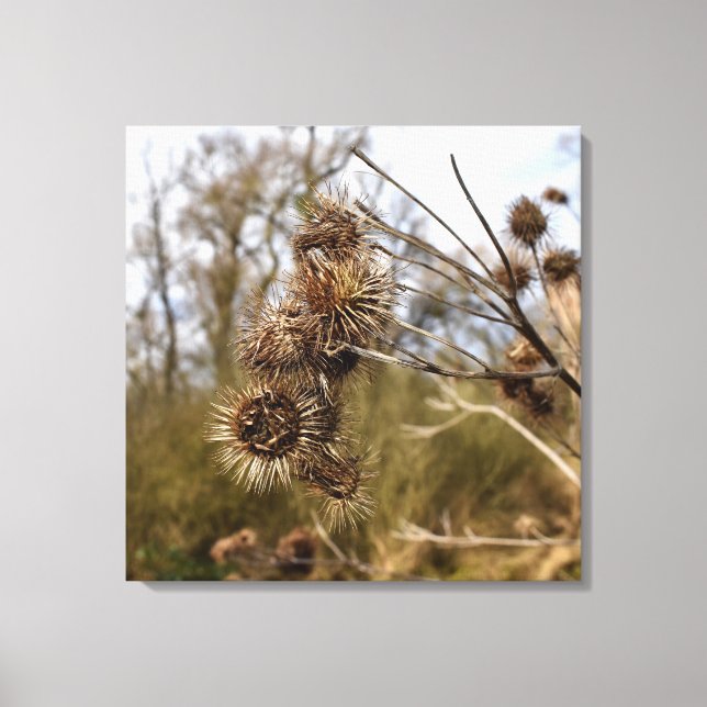 Lienzo Silbato (Anverso)