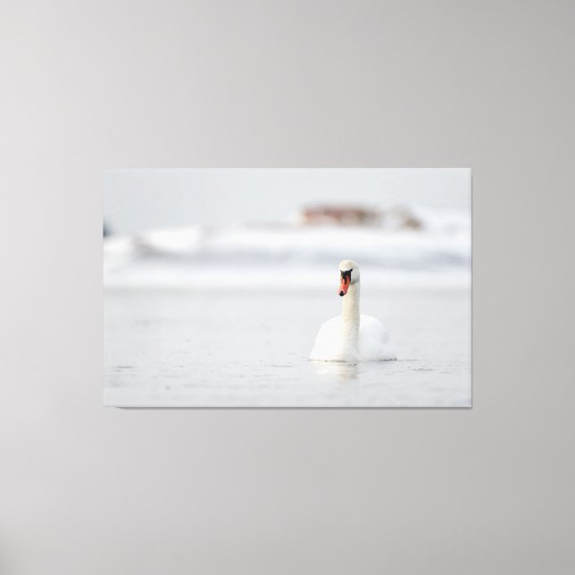 Lienzo Silenciar a los cisnes nadando en agua helada (Anverso)
