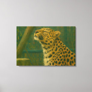 Lienzo Silencio iluminado por el sol - Leopardo en paro