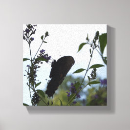 Lienzo Silhouette Butterfly