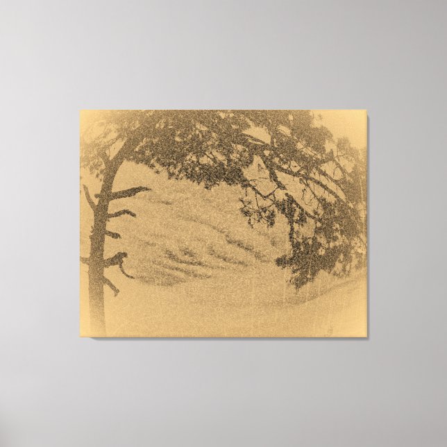 Lienzo Silhouette de árbol de pino vintage, amanecer (Anverso)