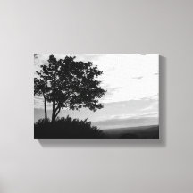 Silhouette de árbol en blanco y negro