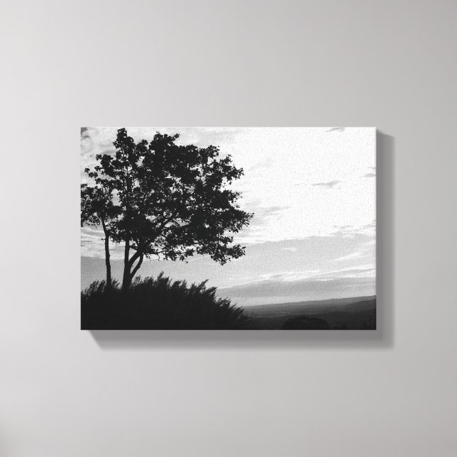 Lienzo Silhouette de árbol en blanco y negro (Anverso)