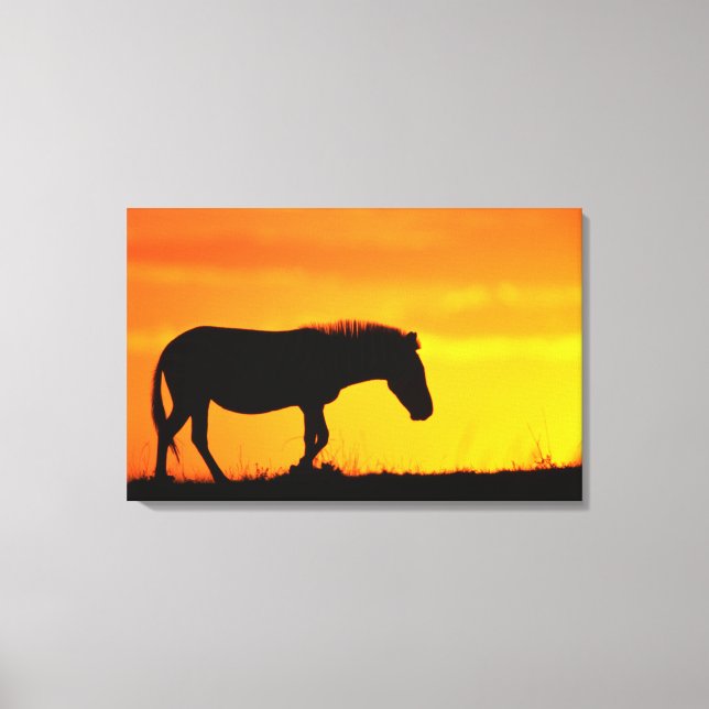 Lienzo Silhouette de cebra sobre sabana (Anverso)